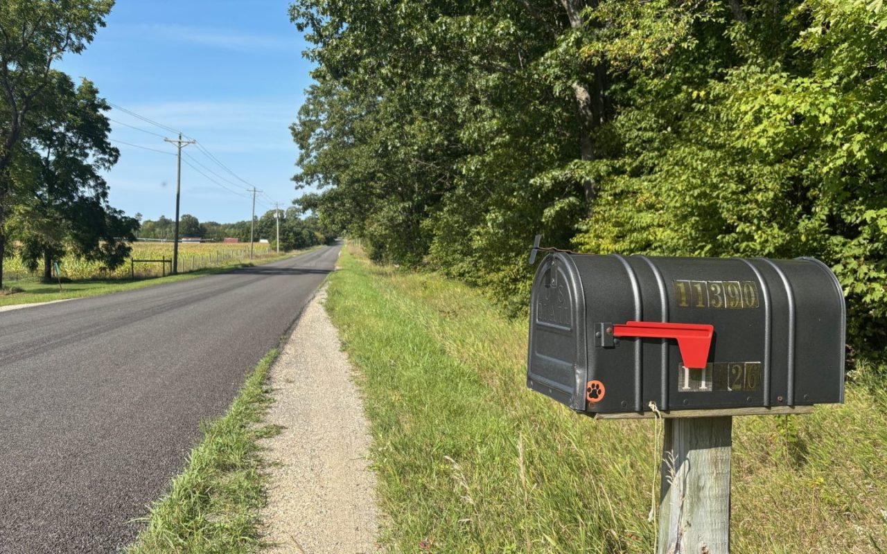 Roadside mailbox beside a quiet country lane