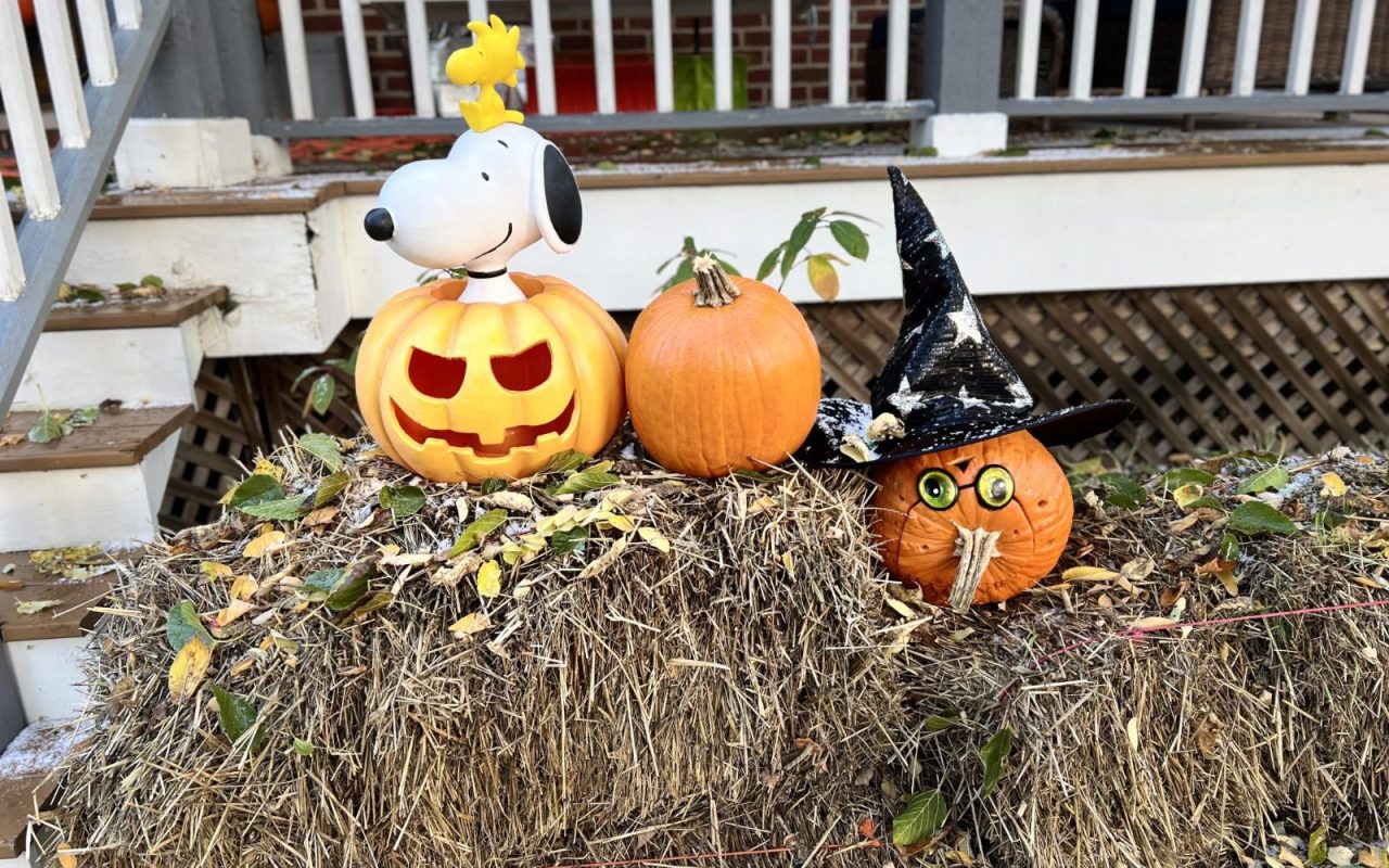 Carved jack-o'-lanterns in an autumn display